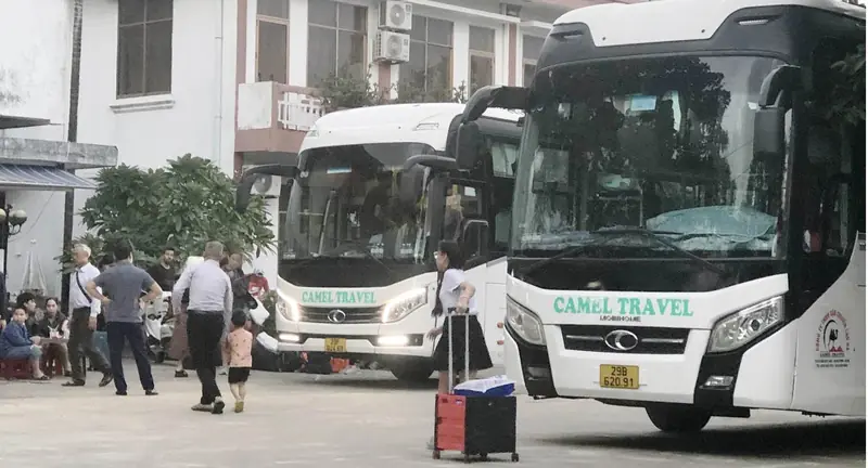 Camel Travel